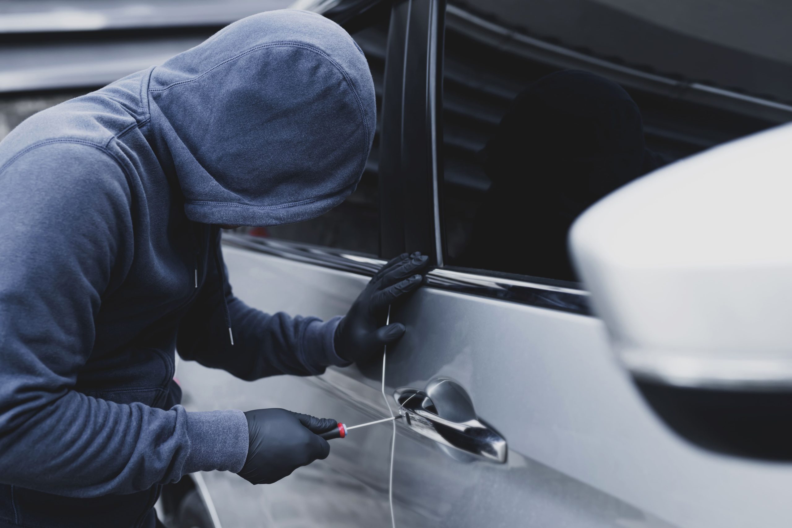 expertise vol vehicule