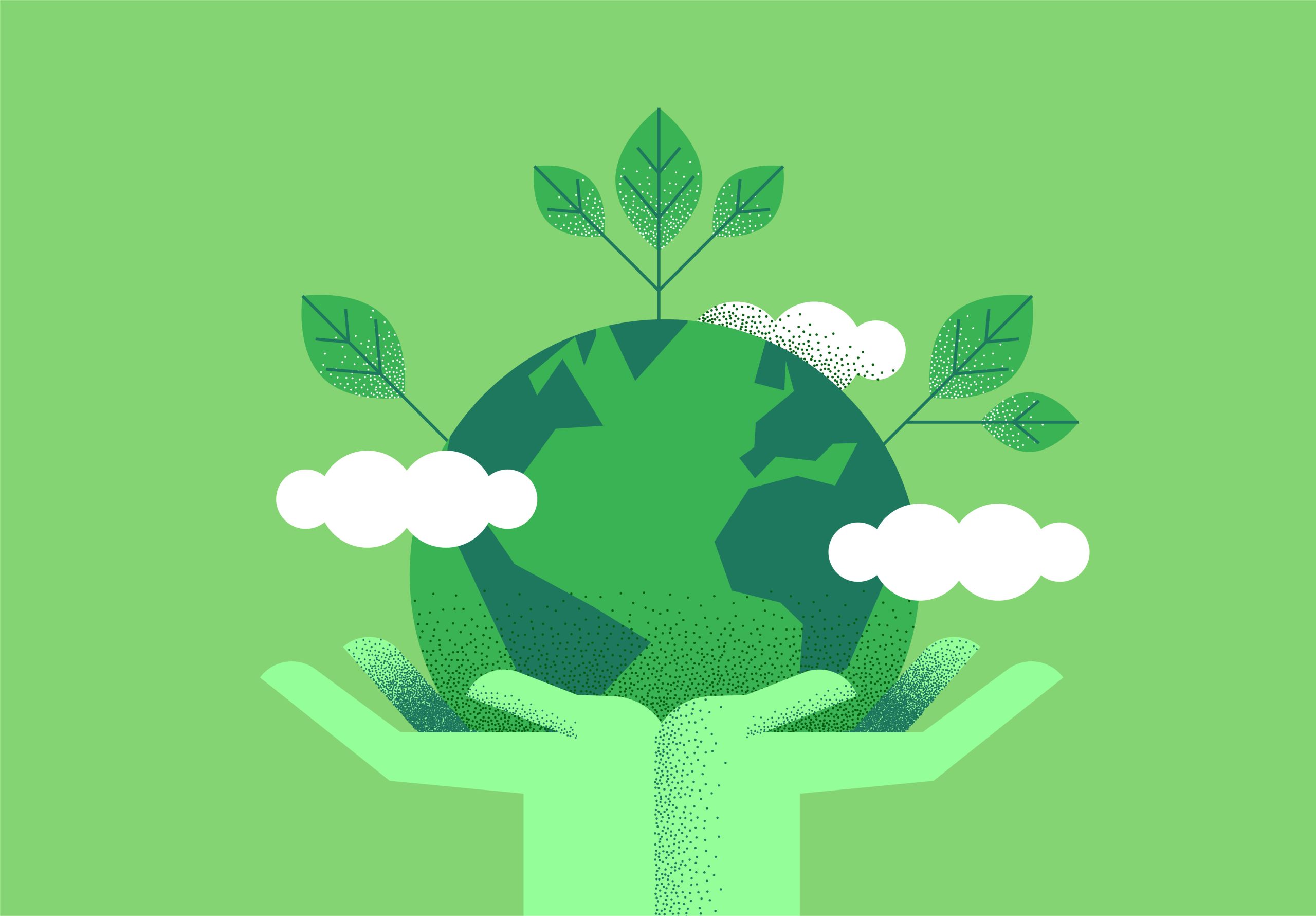rôle environnemental bca expertise